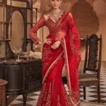 festive saree 3